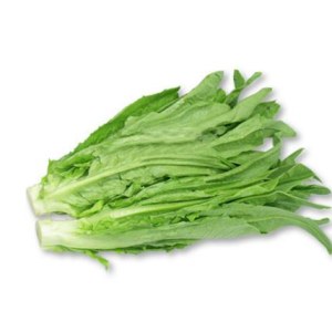 油麦菜