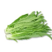 油麦菜