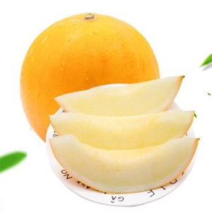 黄河蜜