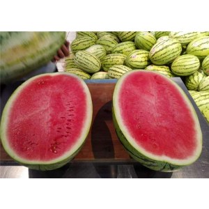 宁夏硒砂瓜
