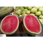 宁夏硒砂瓜