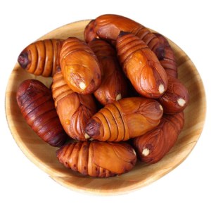 蚕蛹（小）