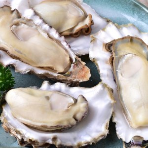 海蛎子