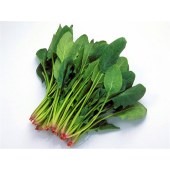 ST菠菜