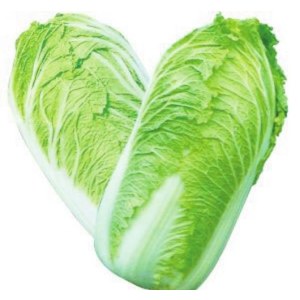白菜（普通）