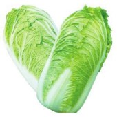 白菜（普通）