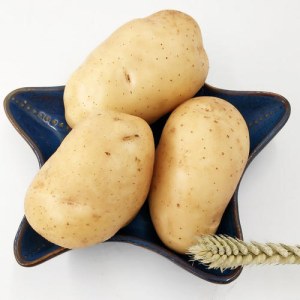 荷兰土豆大