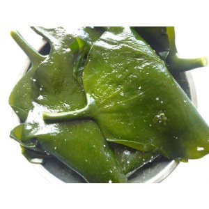 盐渍海带头