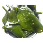 盐渍海带头