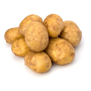 ST土豆