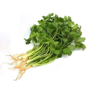香菜