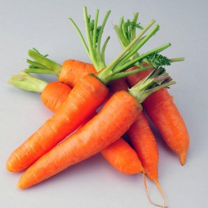 去泥胡萝卜