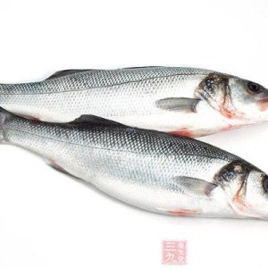 鲈鱼中