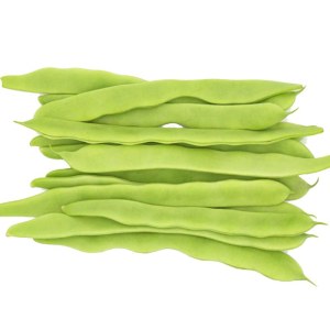 扁芸豆