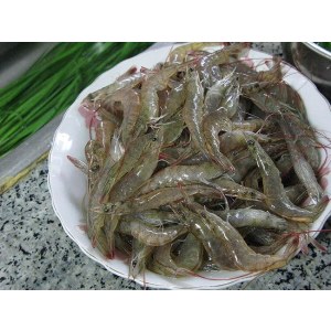 河虾（小）