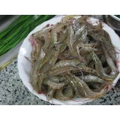 河虾（小）