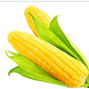 粘玉米（个）