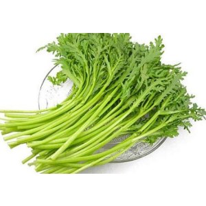 茼蒿