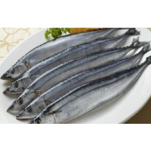 鲅鱼（5/7）