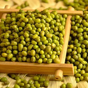 明绿豆