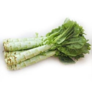莴苣