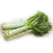 莴苣