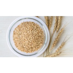 燕麦米