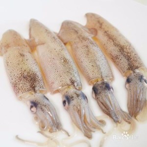 鱿鱼