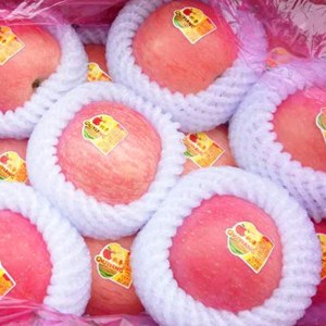 栖霞片红85富士