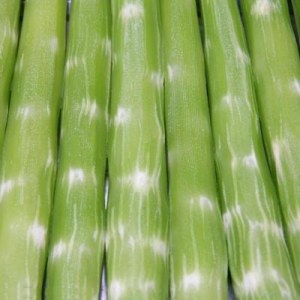 去皮莴苣