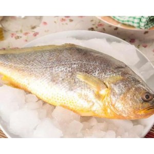 大黄花鱼（净）