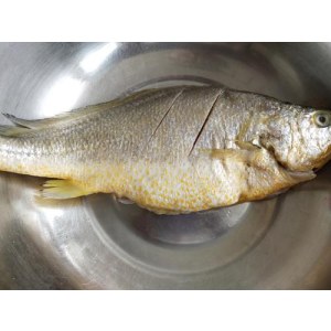 中黄花鱼（净）