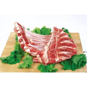 *L无颈前排（维）