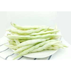 白芸豆