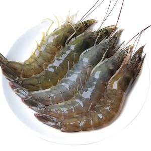 鲜虾