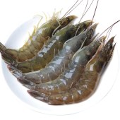 鲜虾