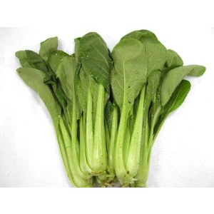 ST油菜
