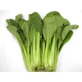 ST油菜