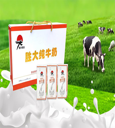胜大纯牛奶