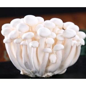 白玉菇袋装（350g）