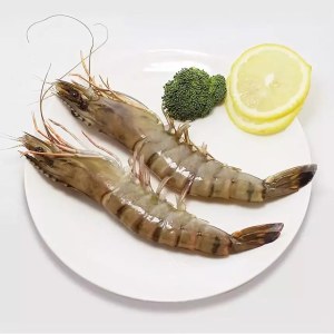 鲜活虾