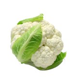 绿梗菜花