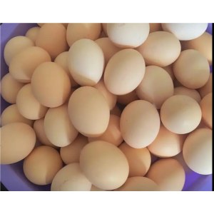 胜大林下鸡蛋礼盒